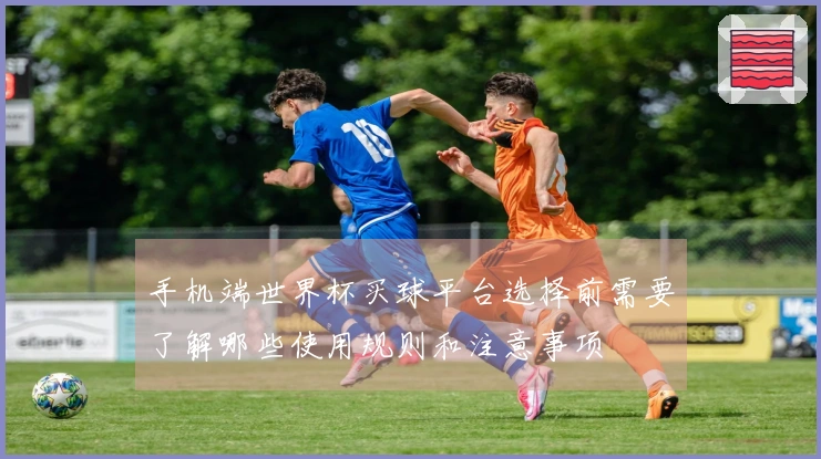 手机端世界杯买球平台选择前需要了解哪些使用规则和注意事项