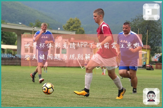 世界杯体彩竞猜APP下载前需注意哪些关键问题与规则解析