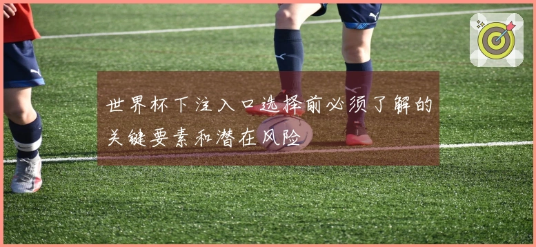 世界杯下注入口选择前必须了解的关键要素和潜在风险