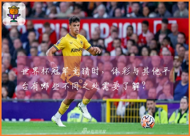 世界杯冠军竞猜时，体彩与其他平台有哪些不同之处需要了解？