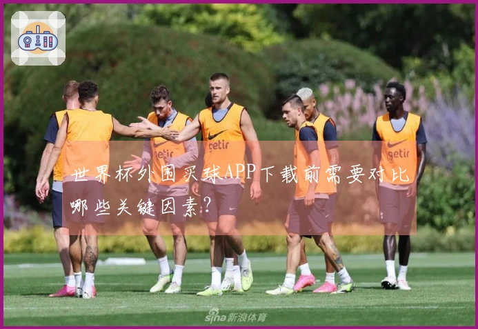 世界杯外围买球APP下载前需要对比哪些关键因素？