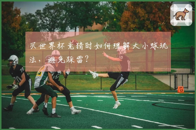 买世界杯竞猜时如何理解大小球玩法，避免踩雷？