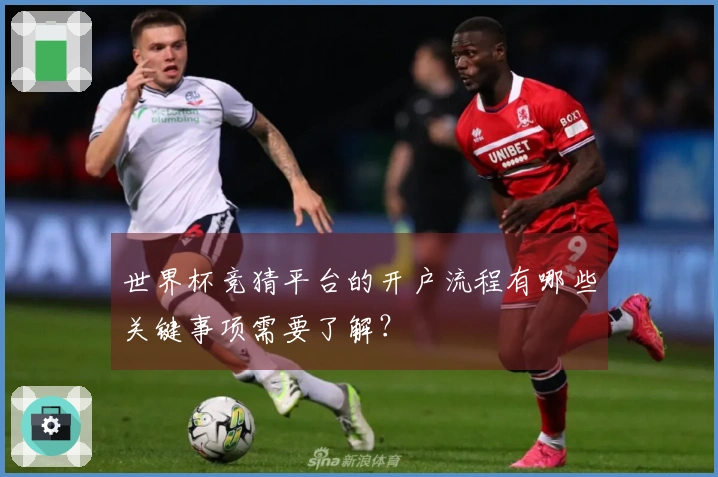 世界杯竞猜平台的开户流程有哪些关键事项需要了解？