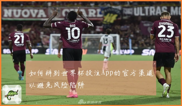 如何辨别世界杯投注App的官方渠道以避免风险陷阱