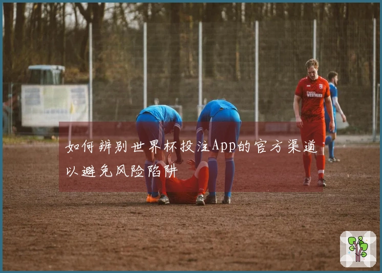 如何辨别世界杯投注App的官方渠道以避免风险陷阱