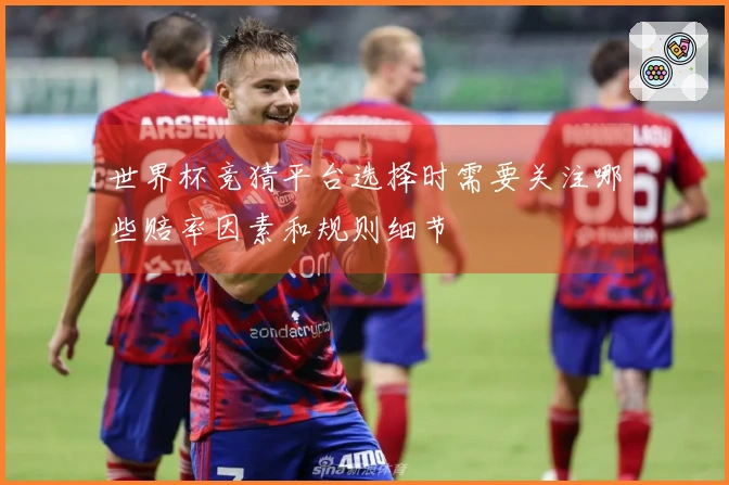 世界杯竞猜平台选择时需要关注哪些赔率因素和规则细节