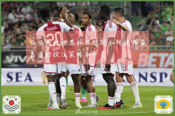临场判断世界杯买球时如何选择最靠谱的投注策略和平台