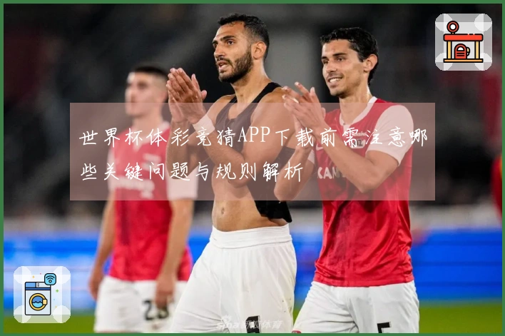 世界杯体彩竞猜APP下载前需注意哪些关键问题与规则解析