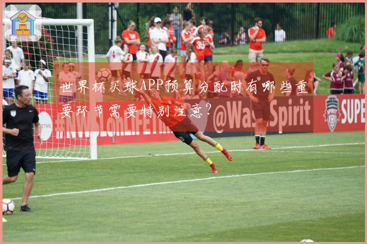 世界杯买球APP预算分配时有哪些重要环节需要特别注意？