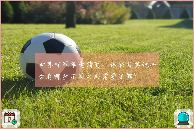 世界杯冠军竞猜时，体彩与其他平台有哪些不同之处需要了解？